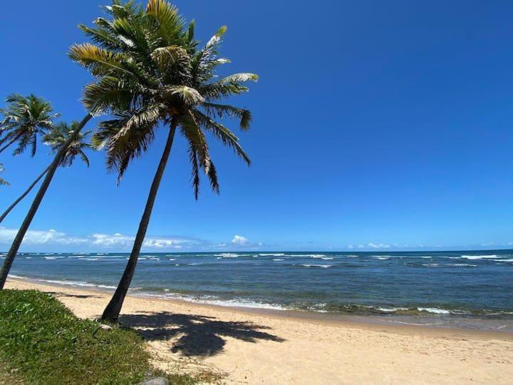 Duplex Em Do A 50m Da * Mata de Sao Joao